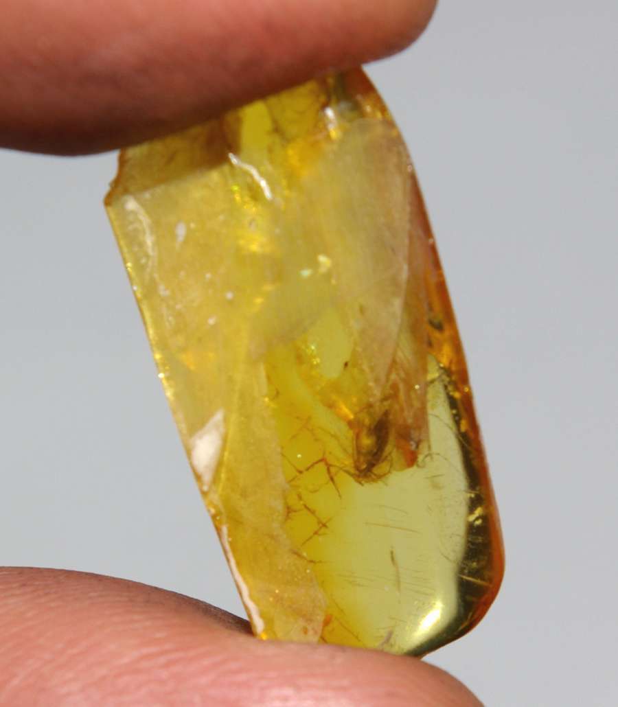  Butterfly in amber stone