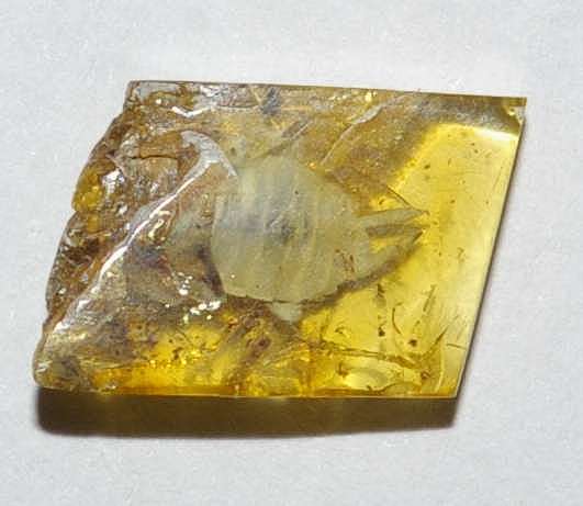 inclusions