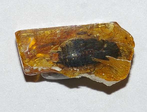 inclusions