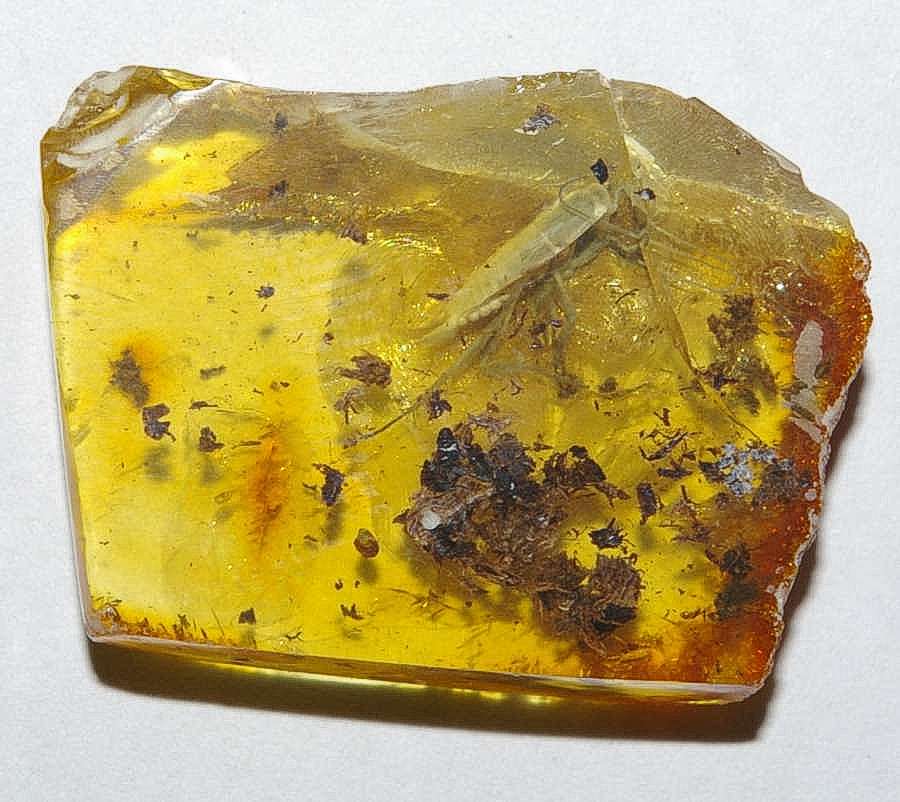 inclusions