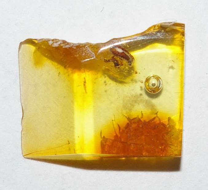 inclusions