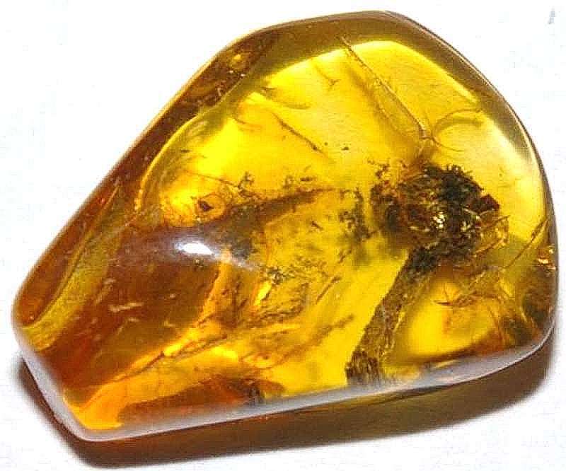 fossil flower in genuine Baltic amber