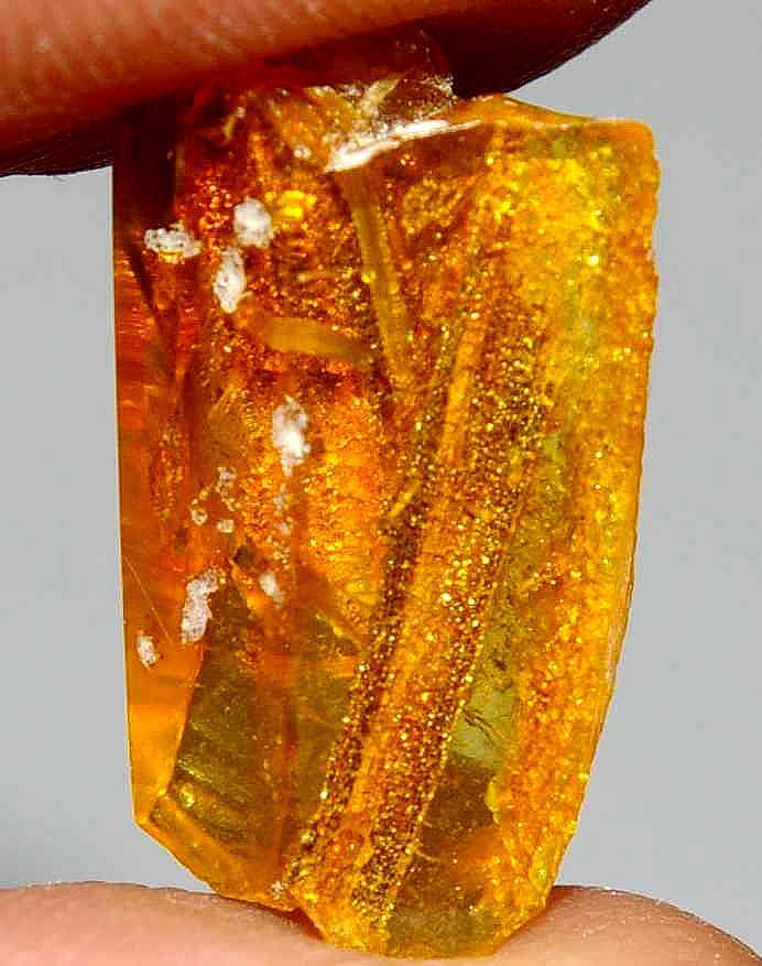 plant in amber.jpg