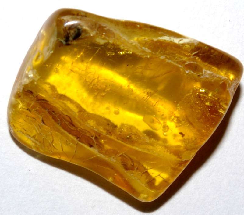 Fossil drop of water in genuine Baltic amber