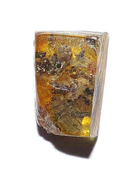 fossil cone in Baltic amber