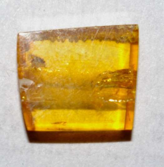 inclusions in amber.jpg