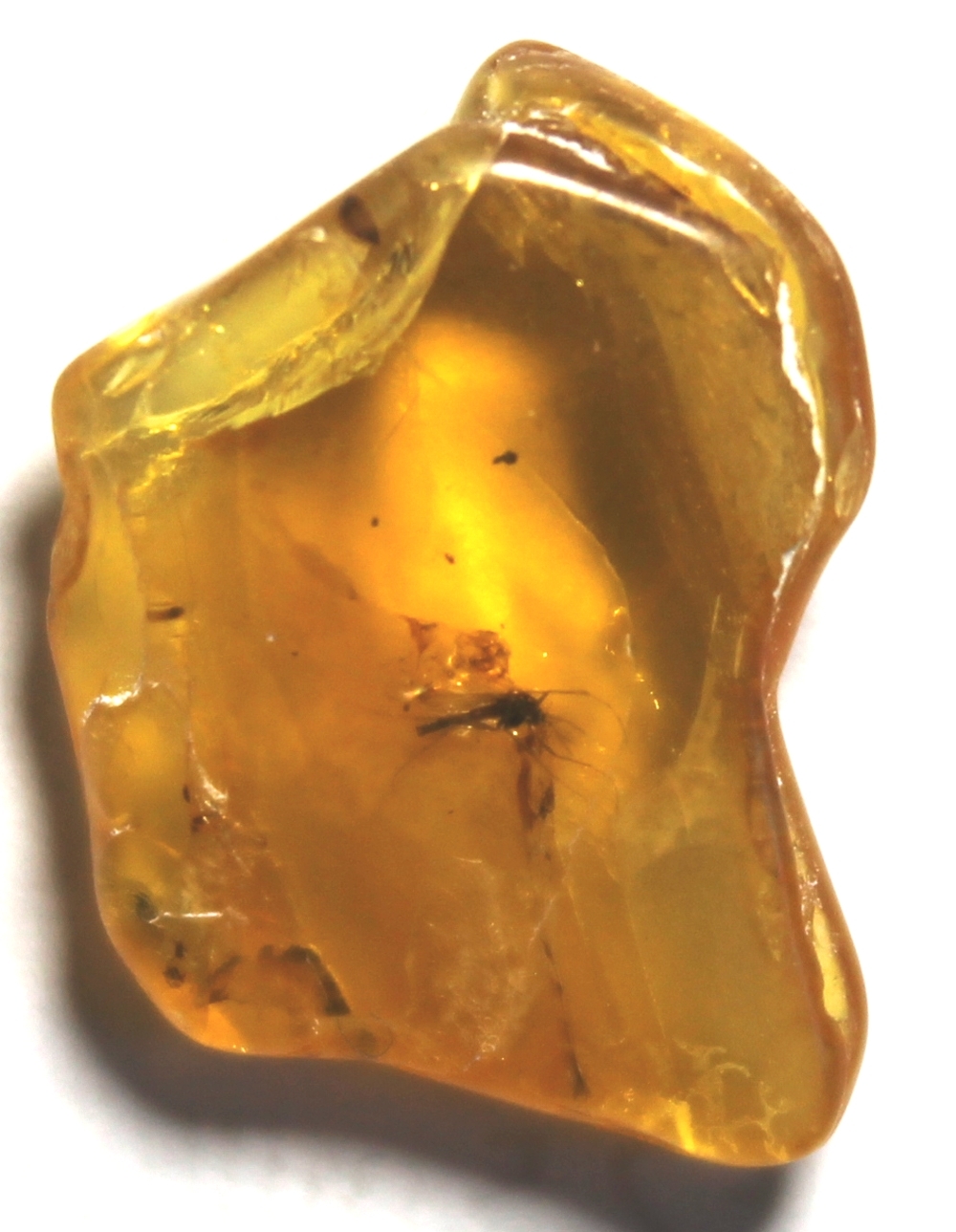 500 g Bernstein kleine Stücke baltic amber 