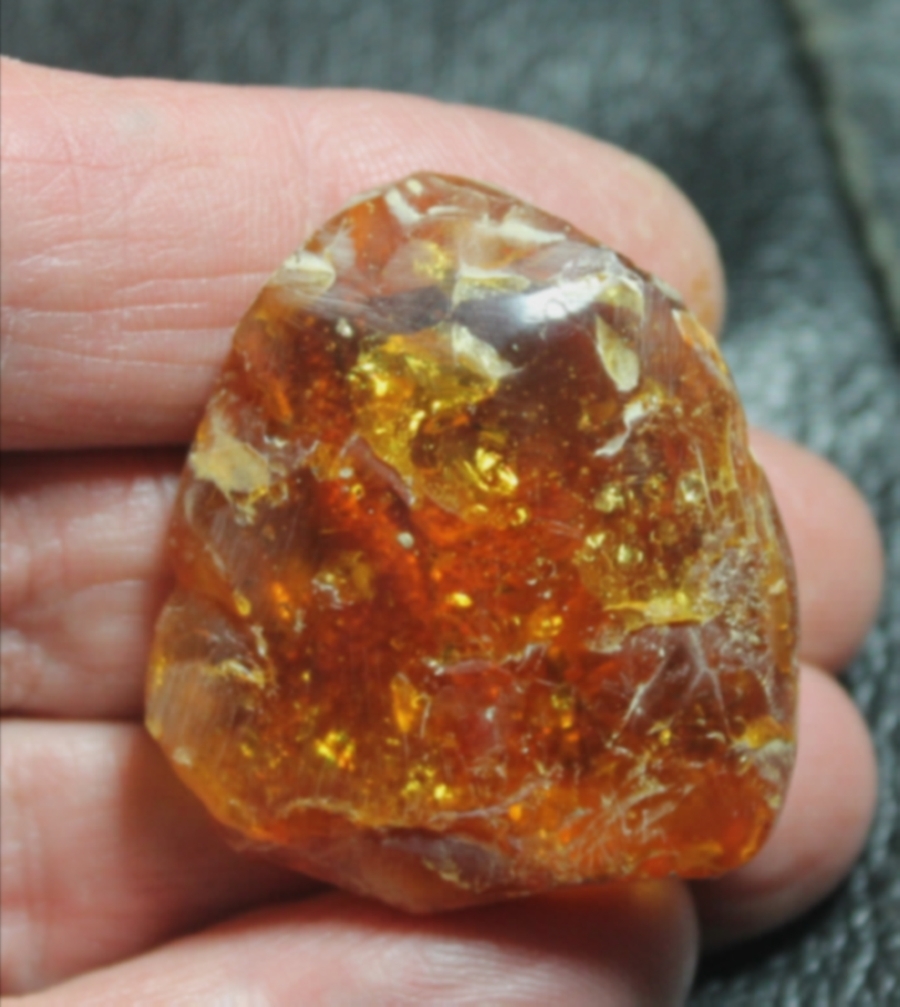Fossil fly in Baltic amber for sale
