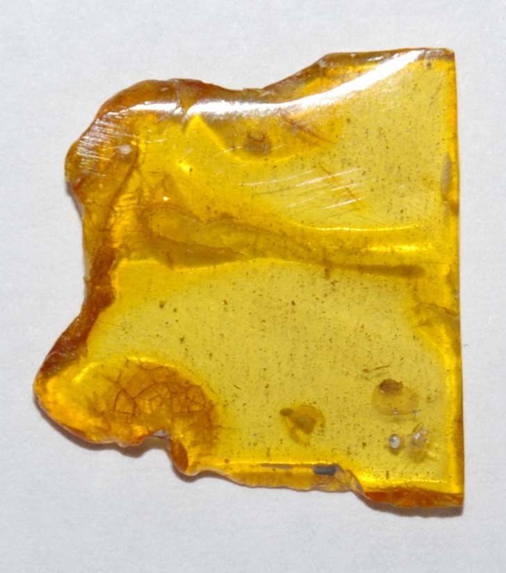 Fossil Acari in amber