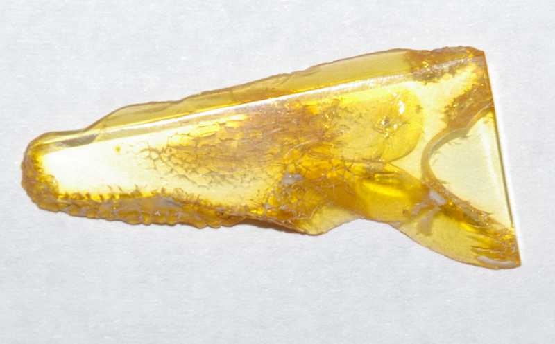 Fossil Acari in amber