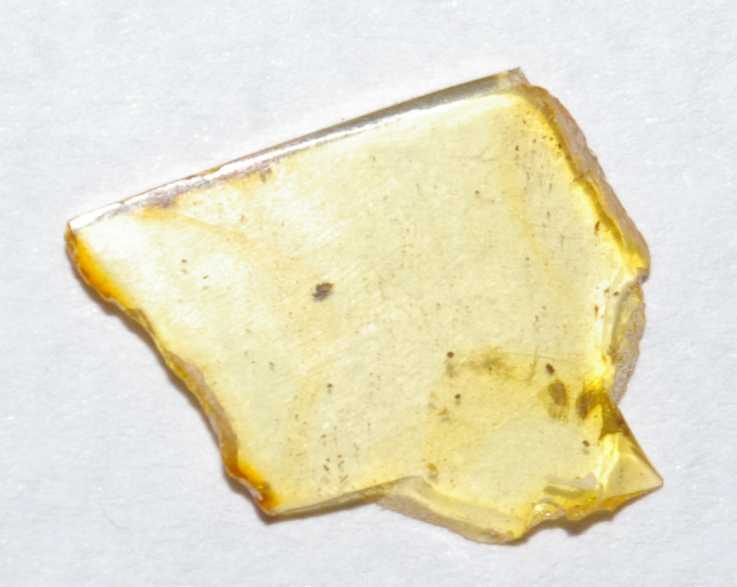 Fossil Acari in amber