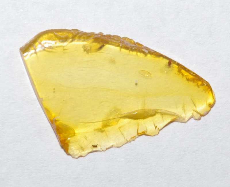 Fossil Acari in amber