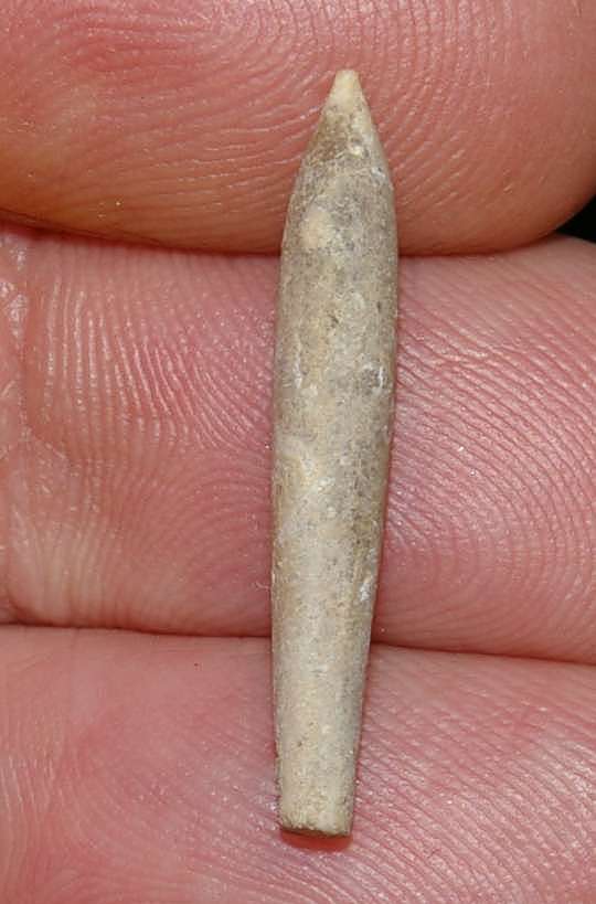 Jurassic, Lower Callovian Belemnite