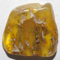  plant in amber