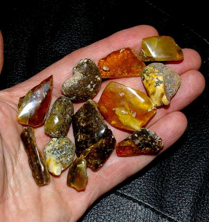 Baltic amber for sale