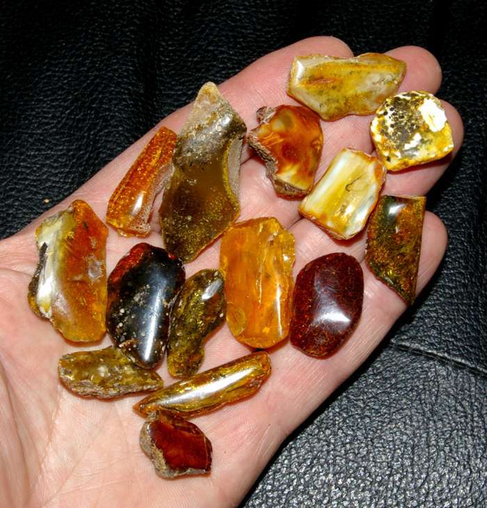 Baltic amber.jpg