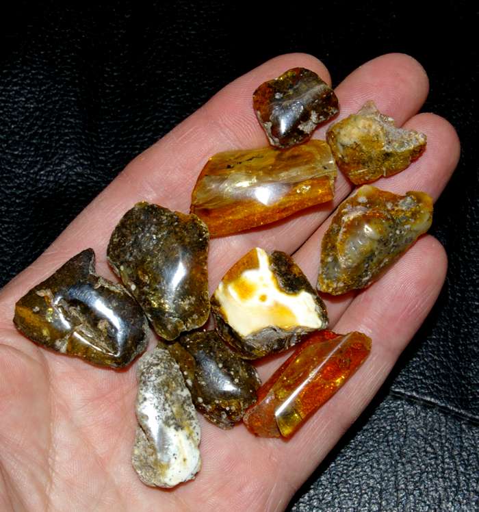 Genuine Baltic amber.jpg