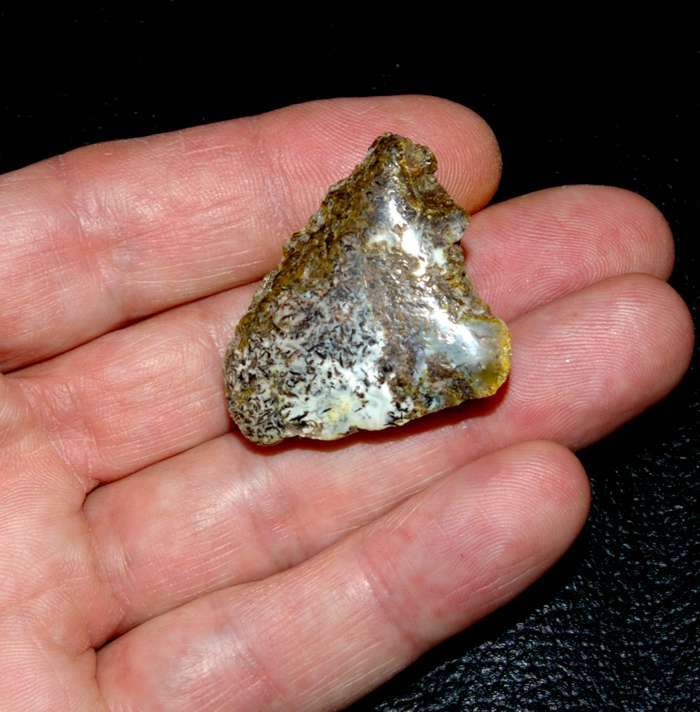 Baltic amber
