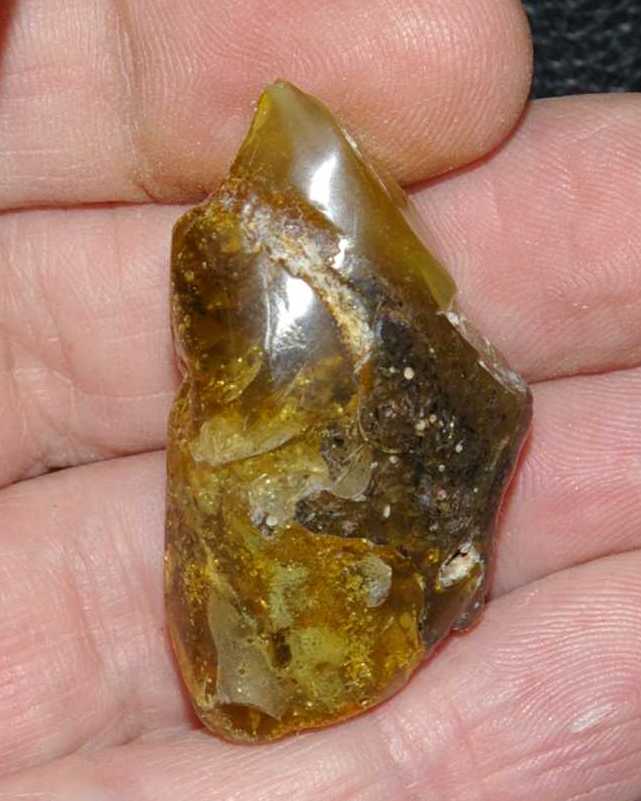 Baltic amber.jpg
