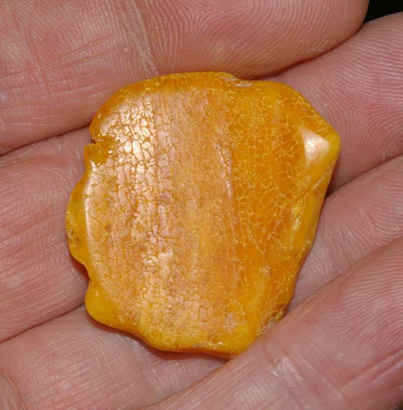 Baltic amber
