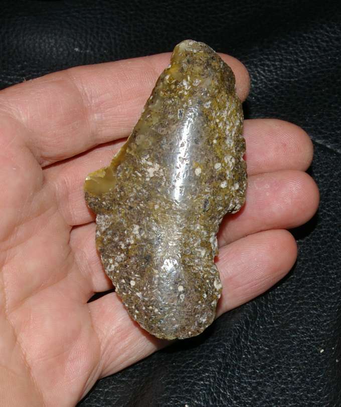 Baltika kehribar.jpg