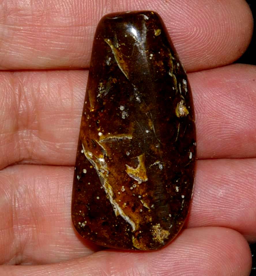 Ambre de la Baltique 