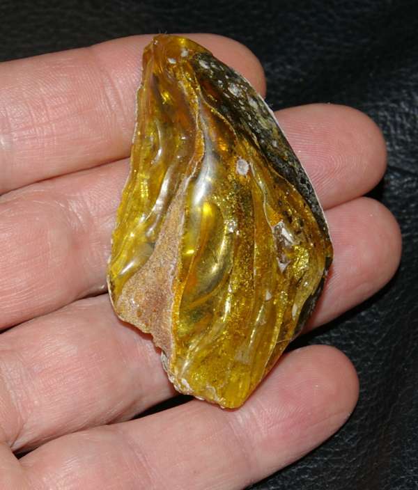 Ambre de la Baltique 