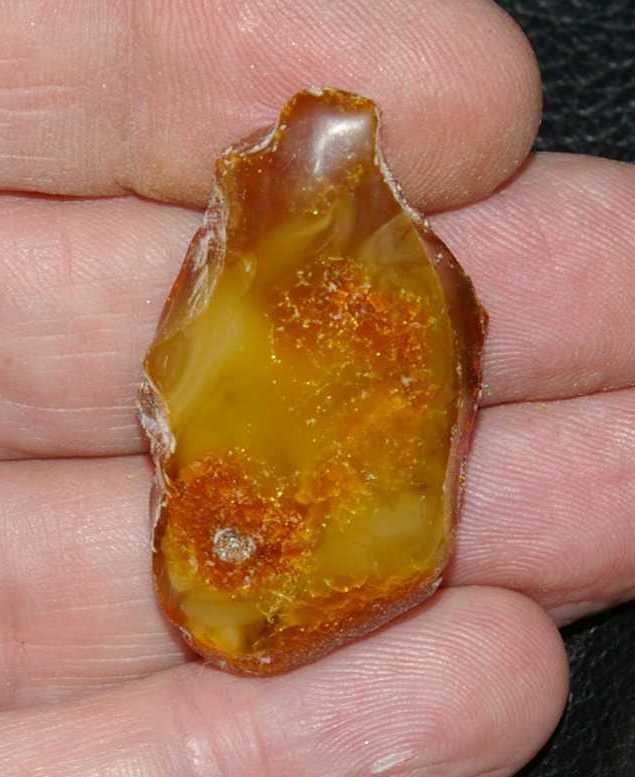 Ambre de la Baltique 