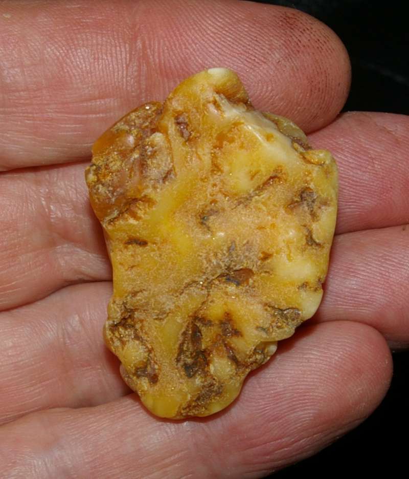 Ambre de la Baltique 