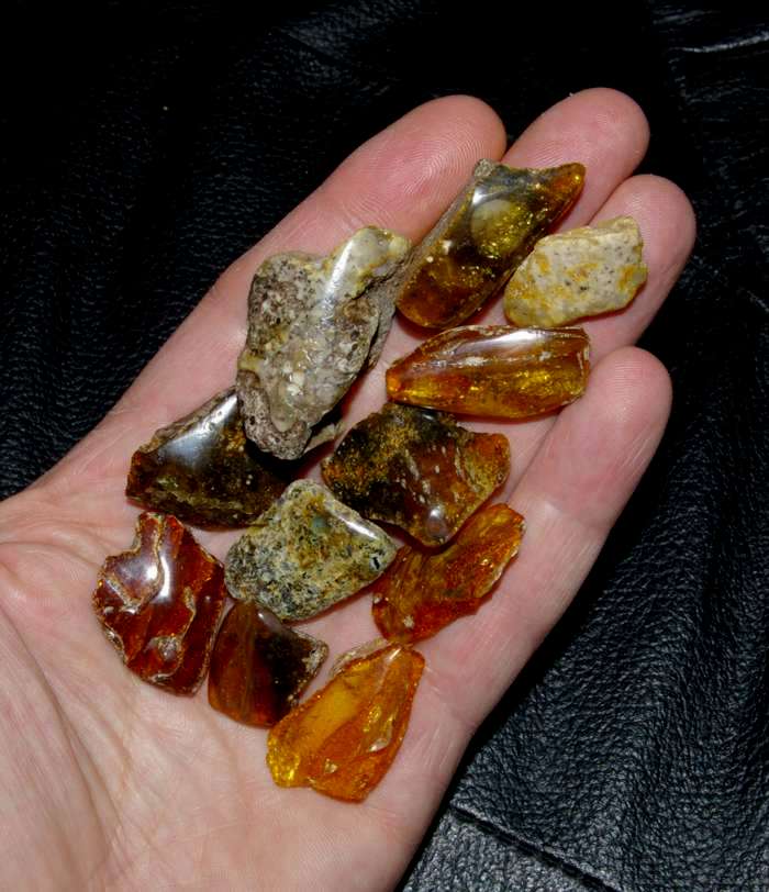 Baltic amber