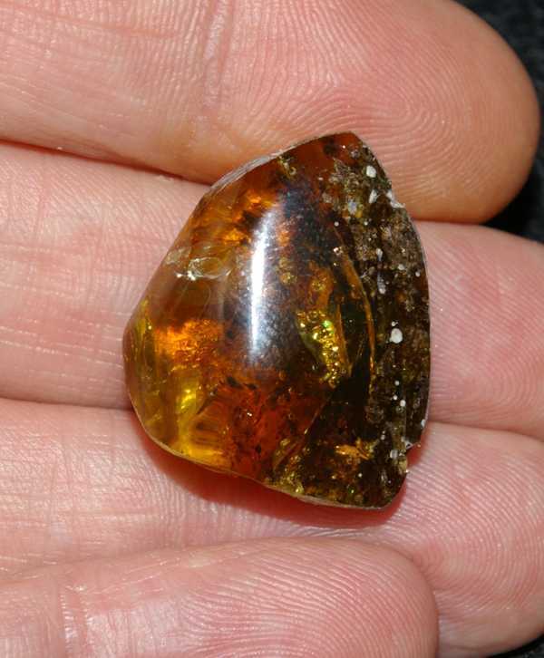 Baltische amber