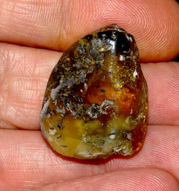 Baltische amber