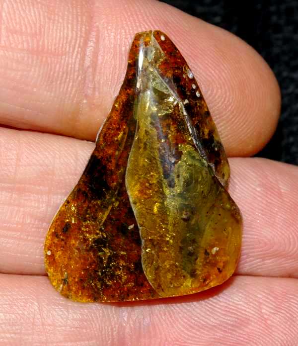 Baltische amber