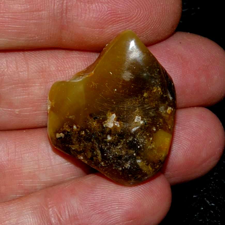 Genuine Baltic amber for sale