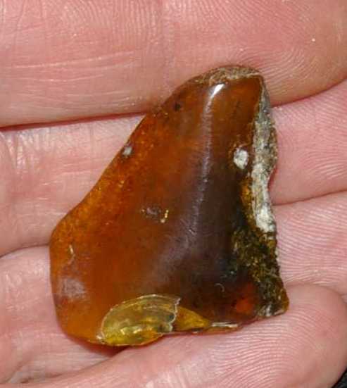 Genuine Baltic amber for sale