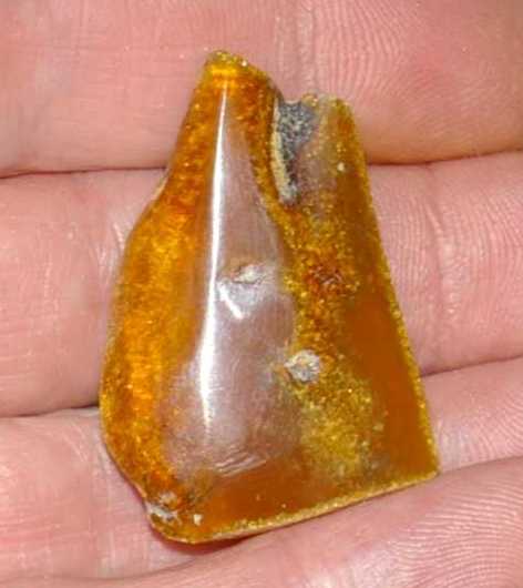 Genuine Baltic amber for sale
