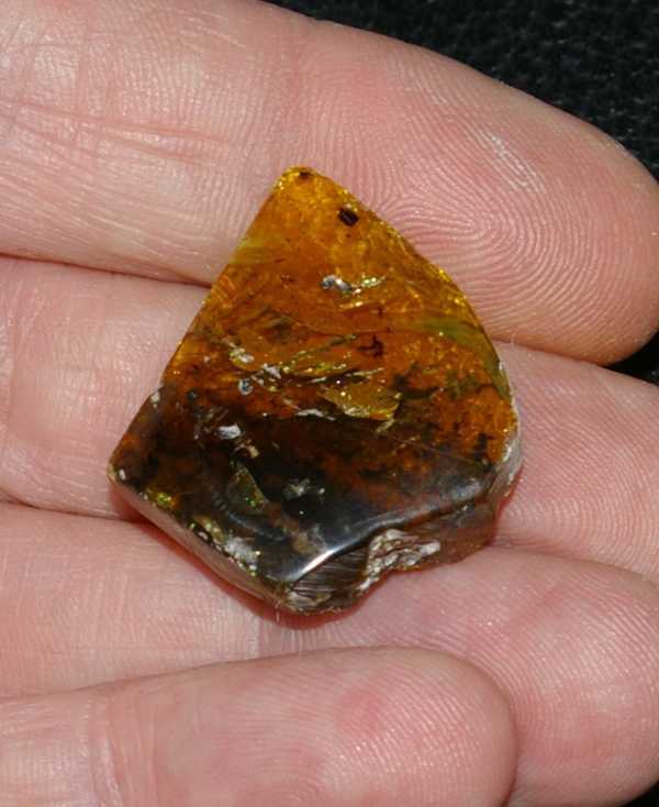 Ambra baltica in vendita