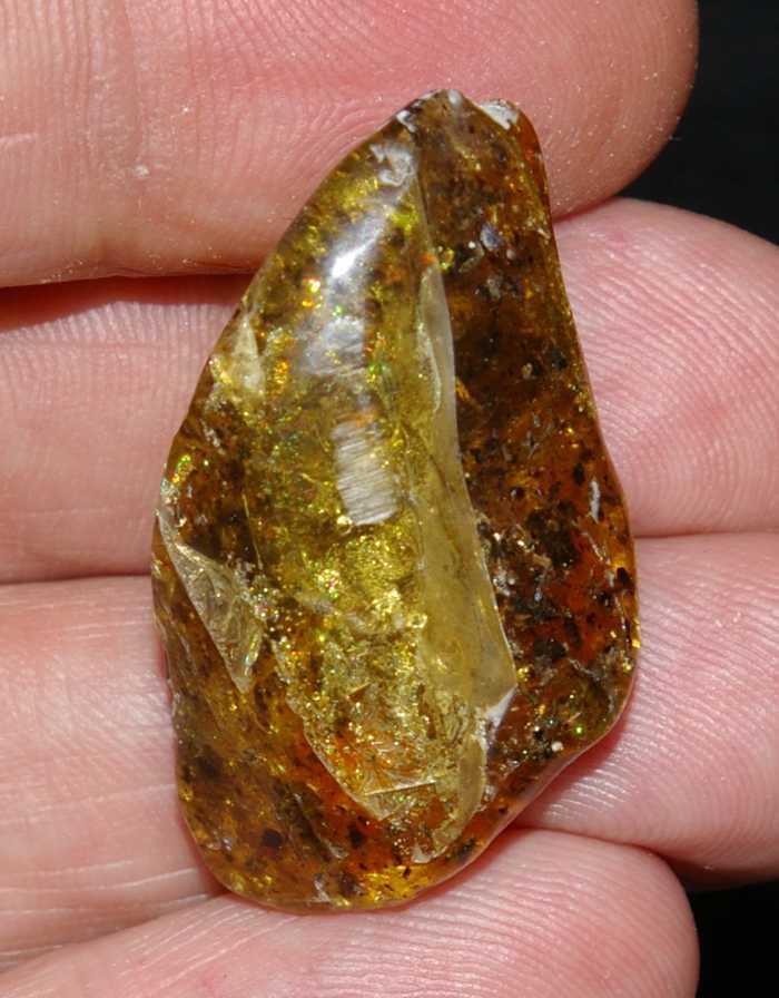 Ambra baltica in vendita