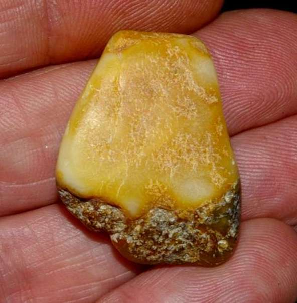 Genuine Baltic amber