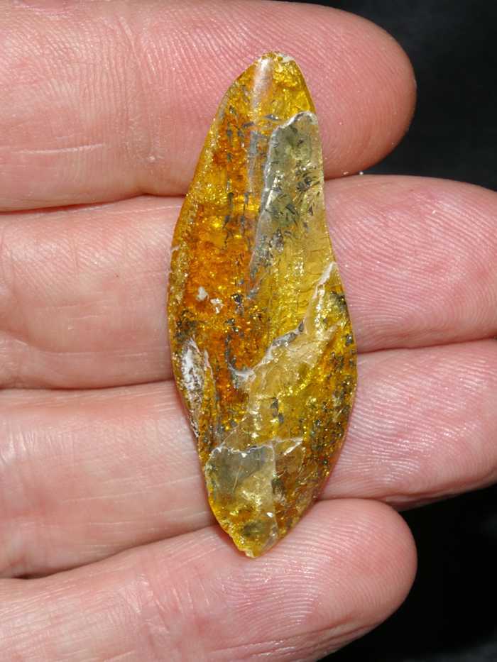 Ambra baltica in vendita