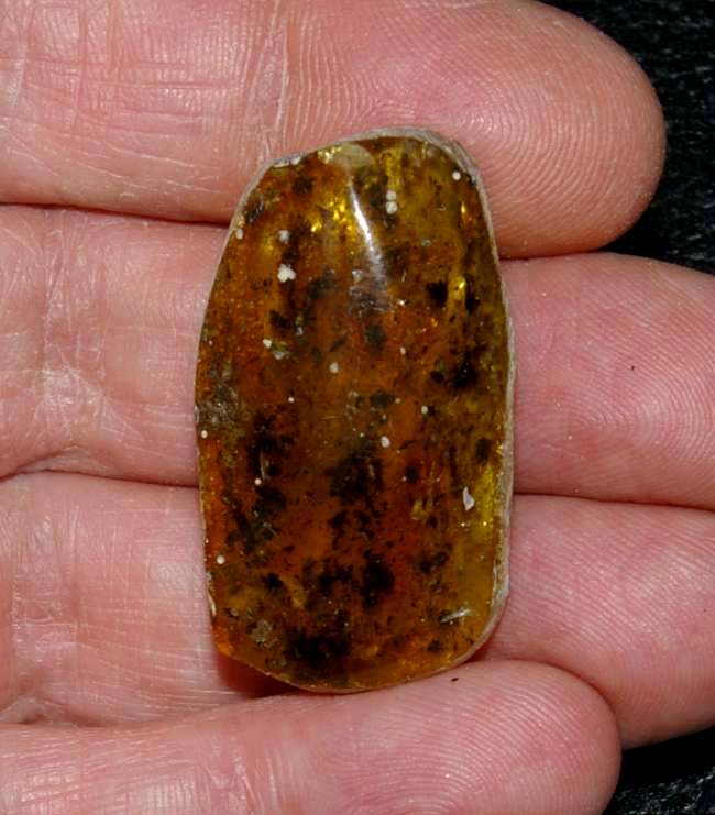 Genuine Baltic amber for sale