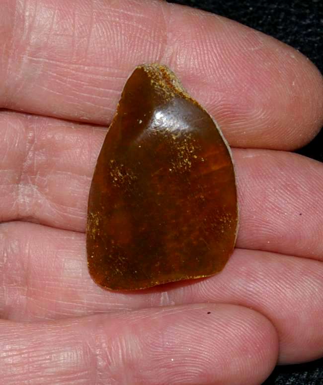 Genuine Baltic amber for sale