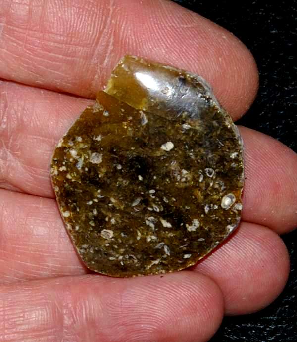 Genuine Baltic amber for sale