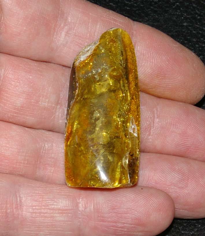 Genuine Baltic amber for sale