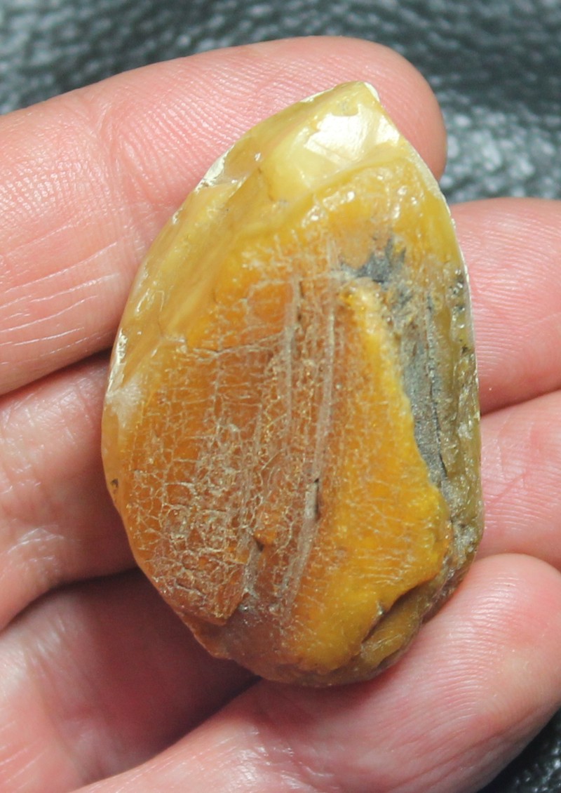 Genuine Baltic amber for sale