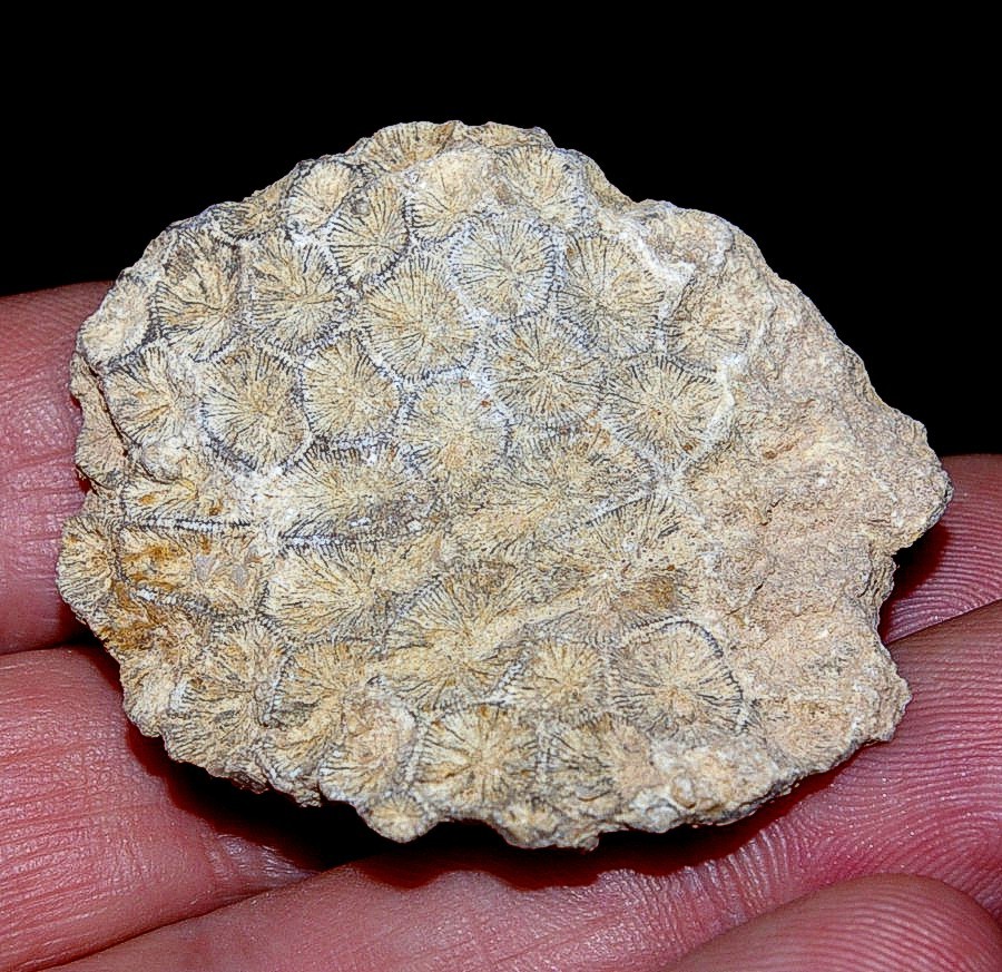 photos/c114.jpg