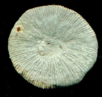 photos/c24.jpg