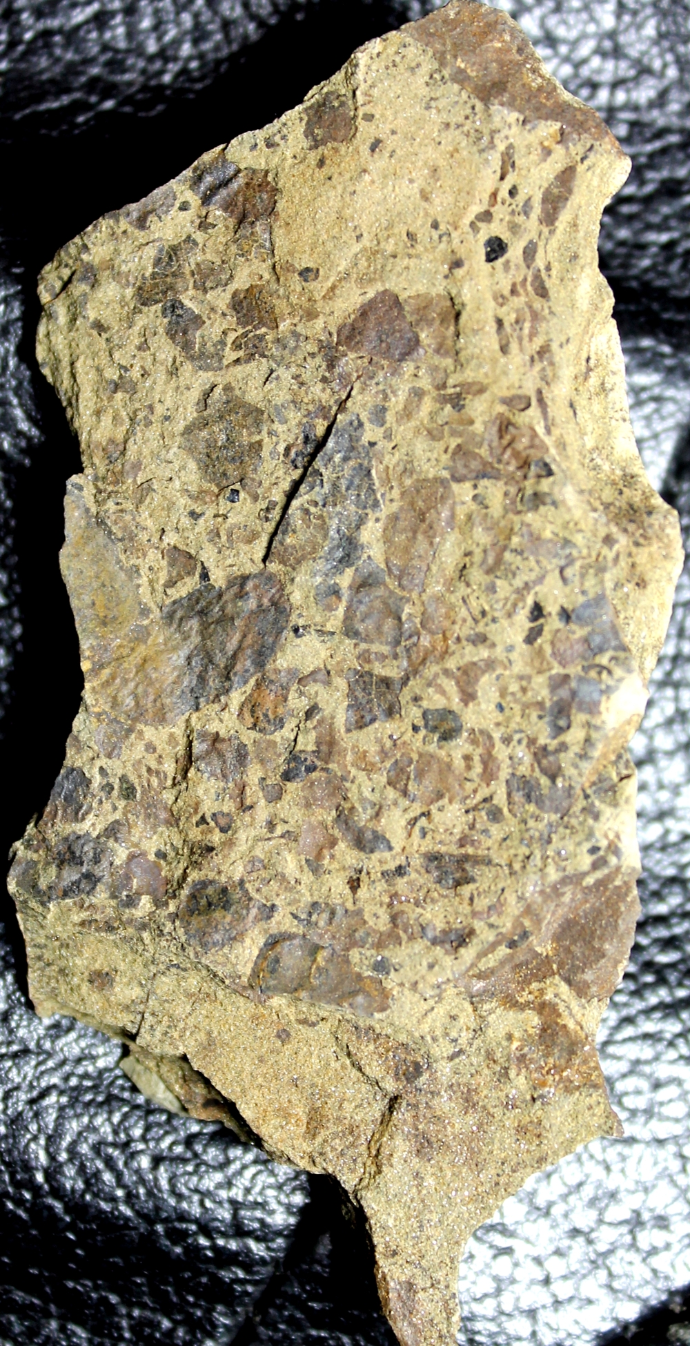 Silurian plants