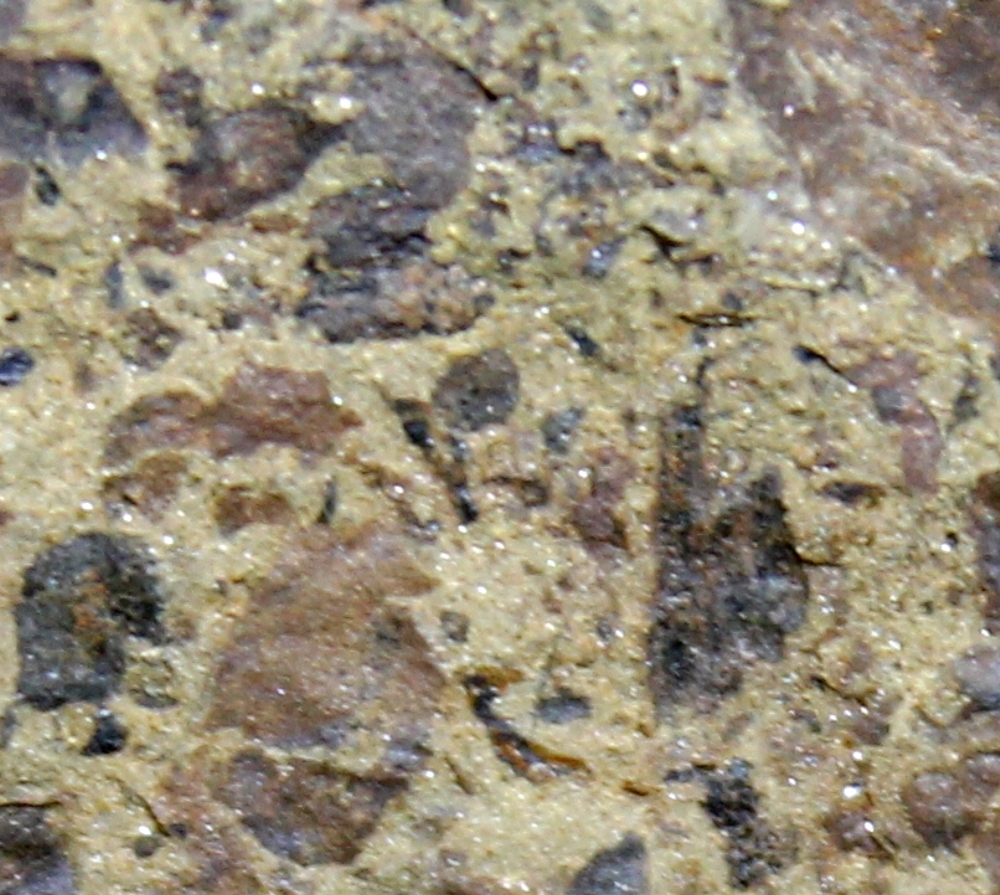 Silurian plants
