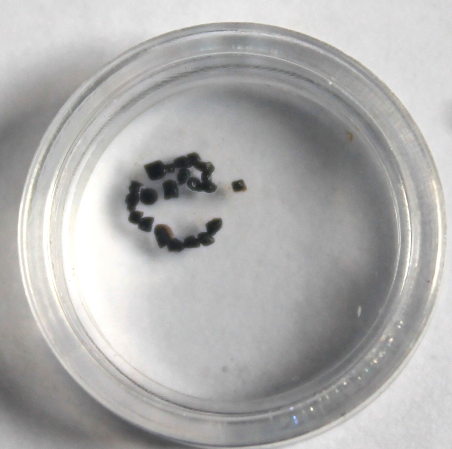 Placodermi scales